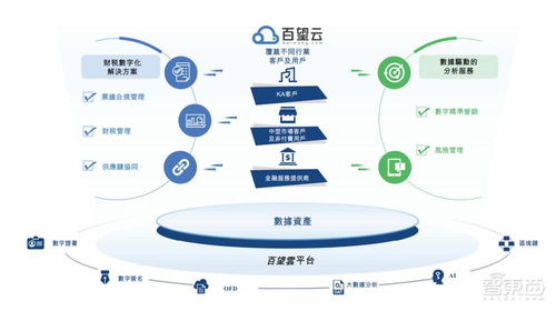 82亿估值 阿里收获一家SaaS领域供应链管理服务IPO